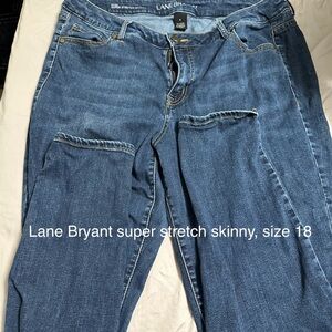 Lane Bryant Classic Blue Skinny Jeans